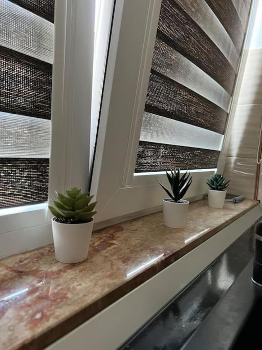 Marului Residence Bucureşti Ngoại thất bức ảnh
